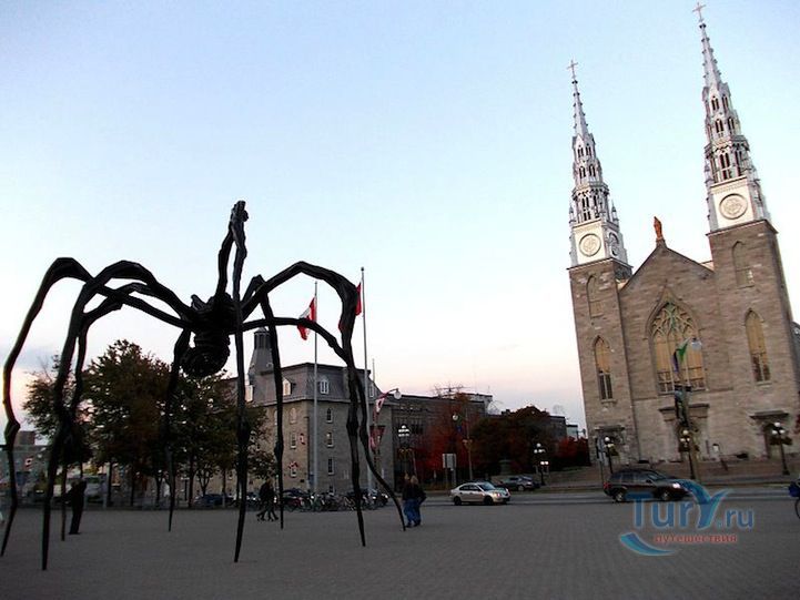 Скульптура паучихи Маман в Токио