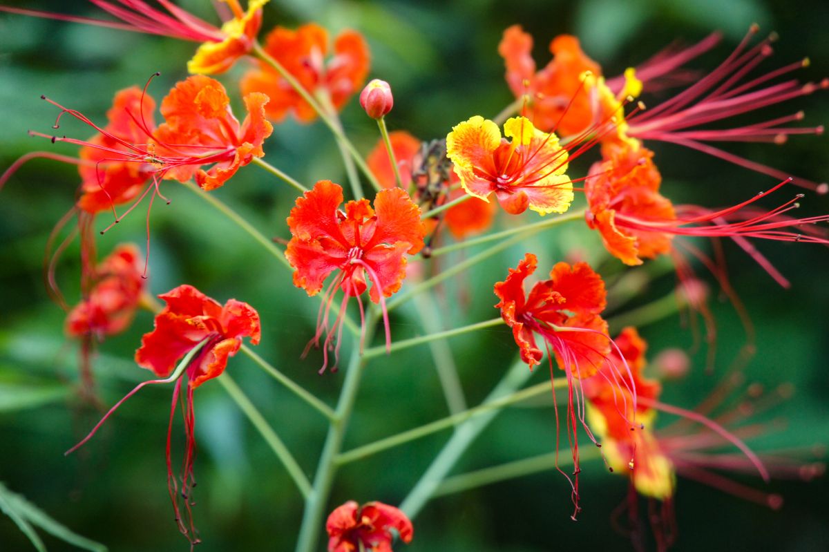 Пляж Сильверсендс