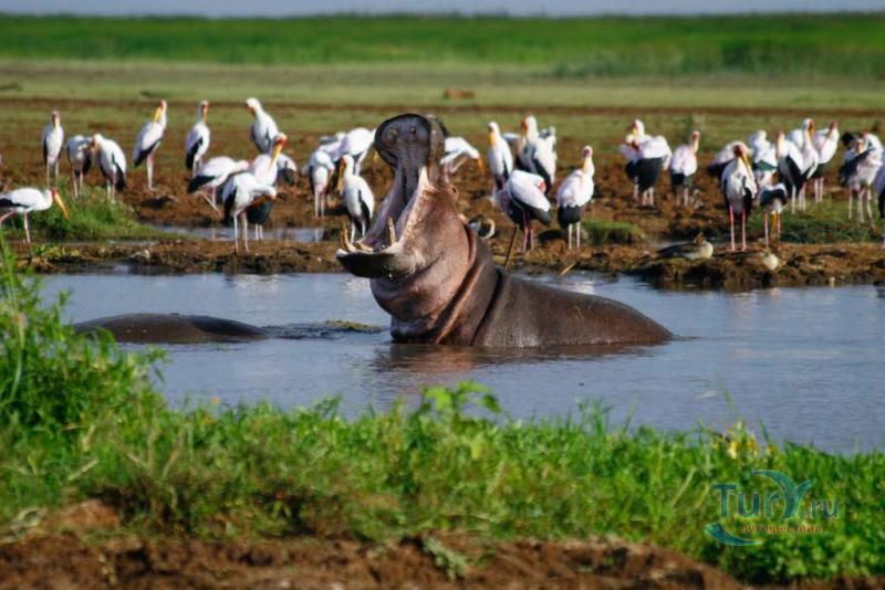 Озеро Маньяра