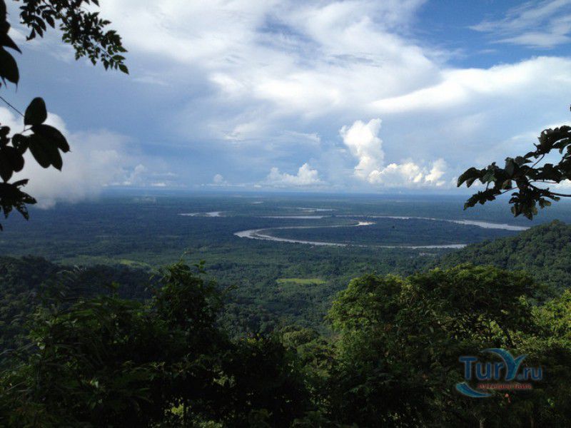 Национальный Парк Мадиди