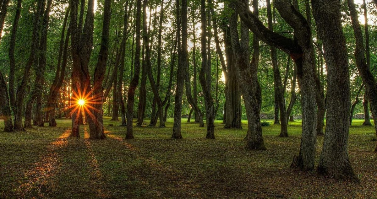 Поместье и усадебный парк Луке