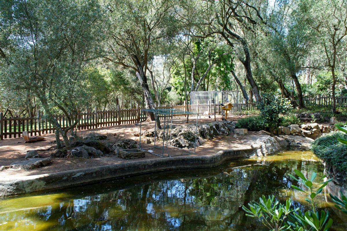 Парк Марешала Кармона