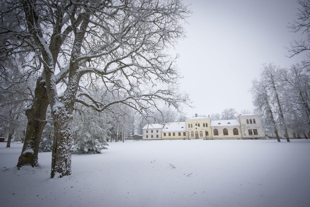 Парк и природоведческая тропа мызы Килтси