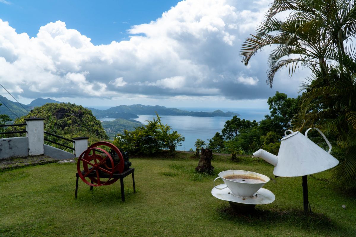 Чайная фабрика