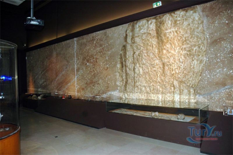 Музей доисторической антропологии