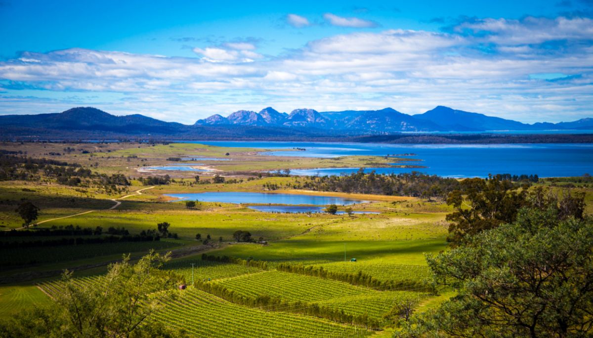 Долина Тамар