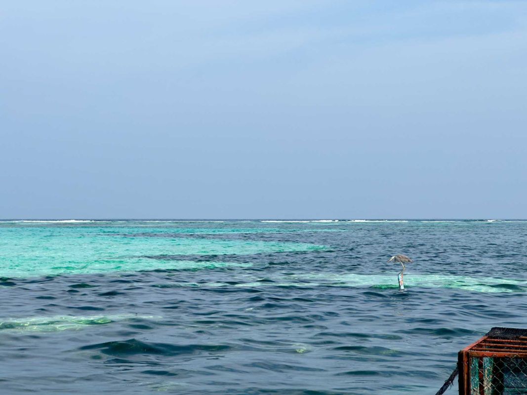 Маафуши Планктон Бич