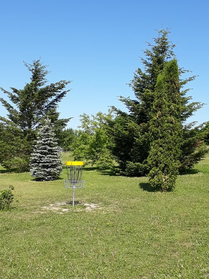Парк для диск-гольфа в Йыгева