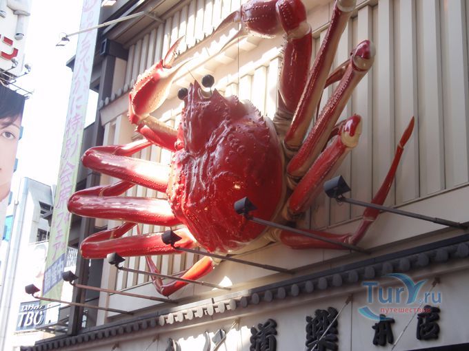 Минами (Японский Лас Вегас)