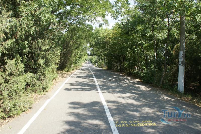 Трасса здоровья в Одессе