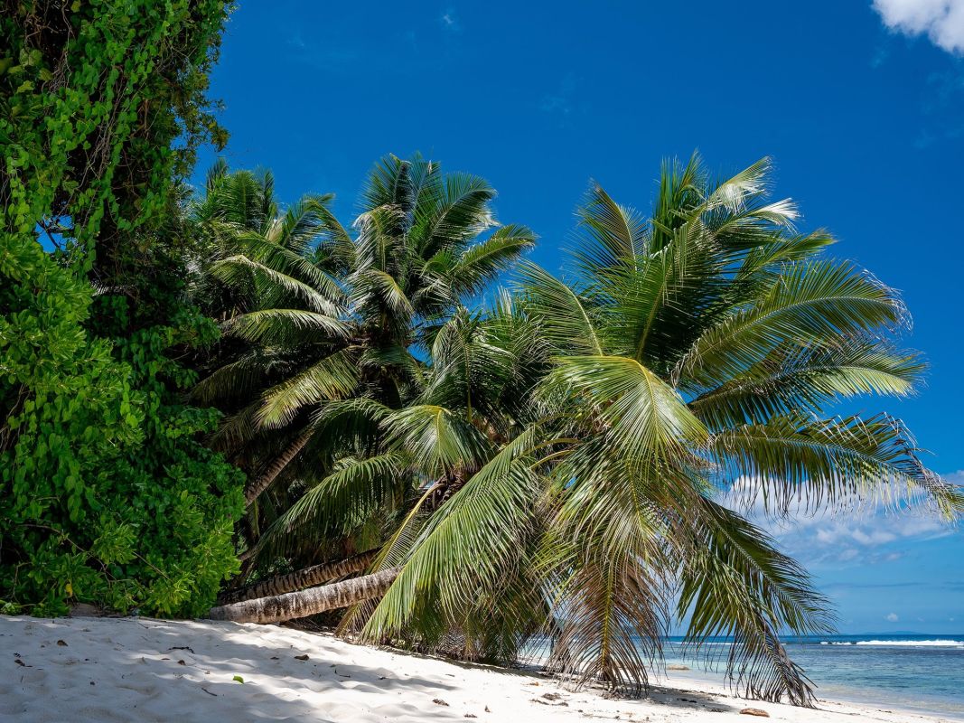 Пляж Анс Мари Луиза