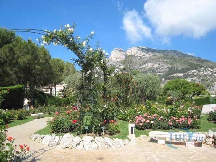 Пейзажный Парк Фонвьей и Розарий Принцессы Грейс