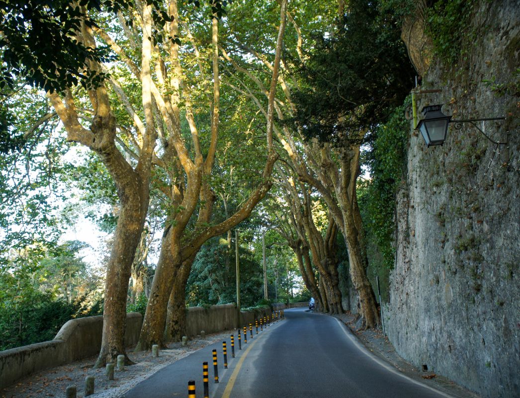 Дворец Валенса (Palácio Valenças)