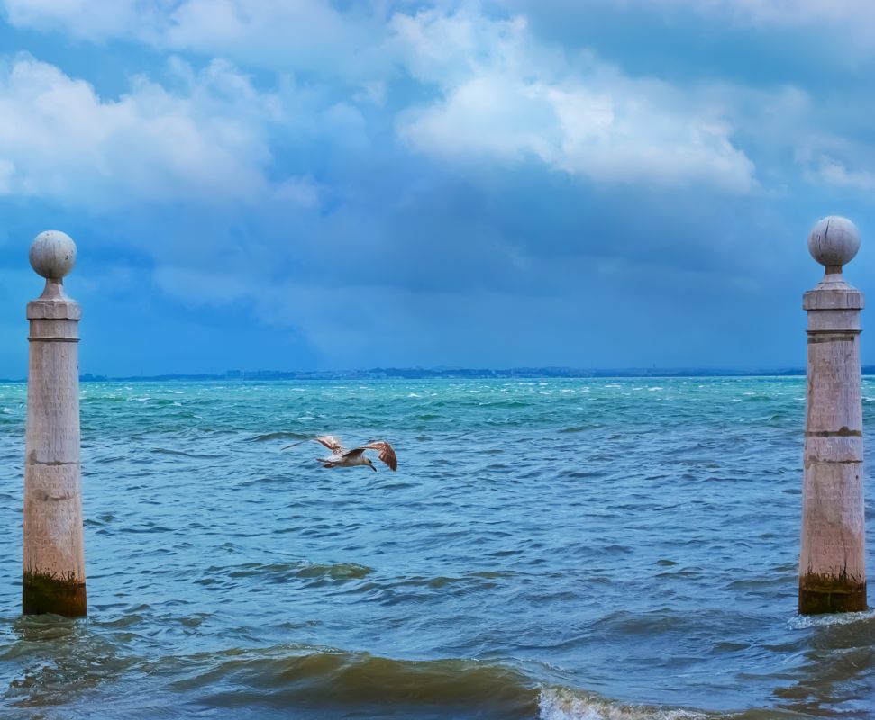 Рибейра дас Наус