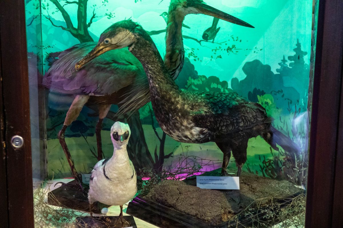 Государственный Музей Аджарии имени Харитона Ахвледиани