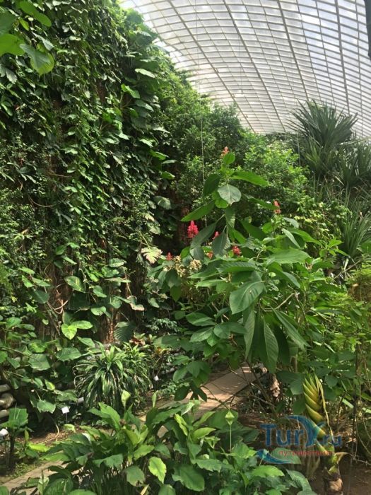 Ботанический Сад Валенсии