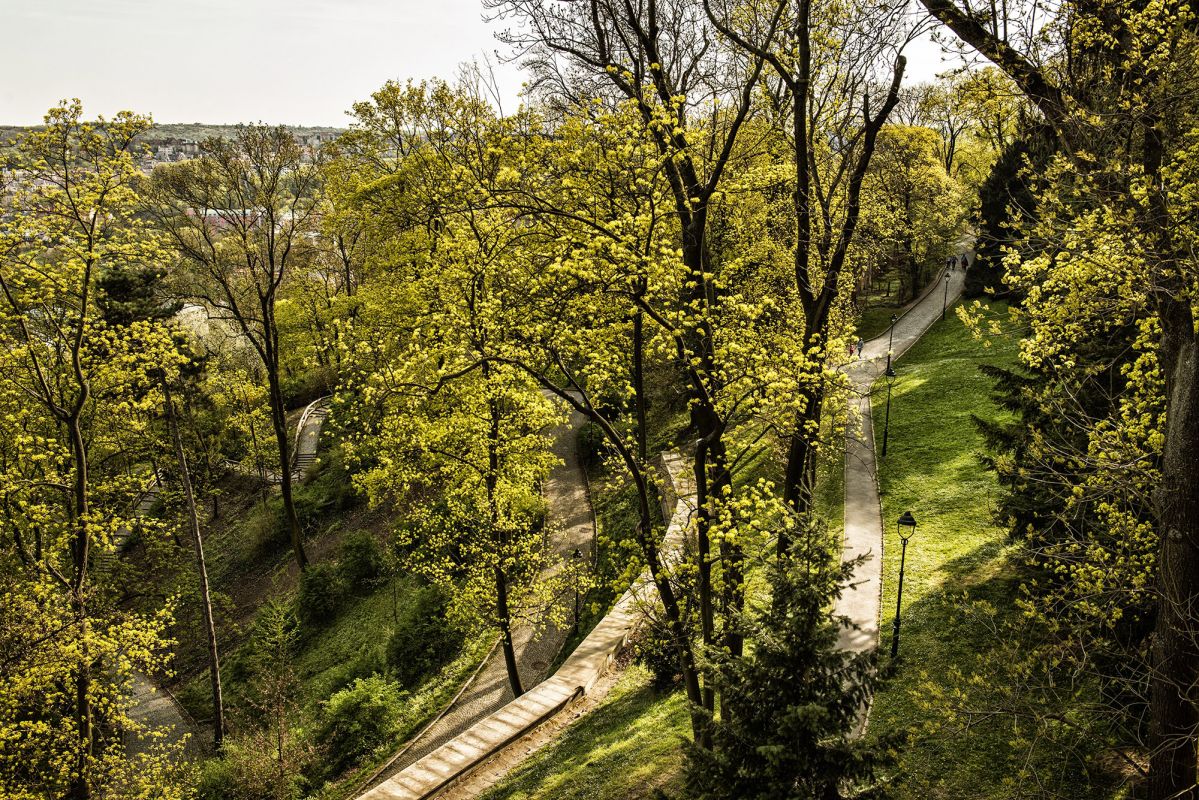 Сад Кинских