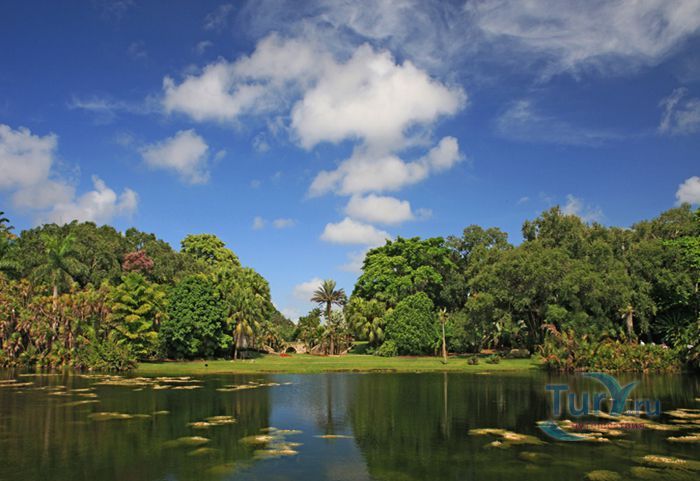 Тропический сад Фэйрчайлд