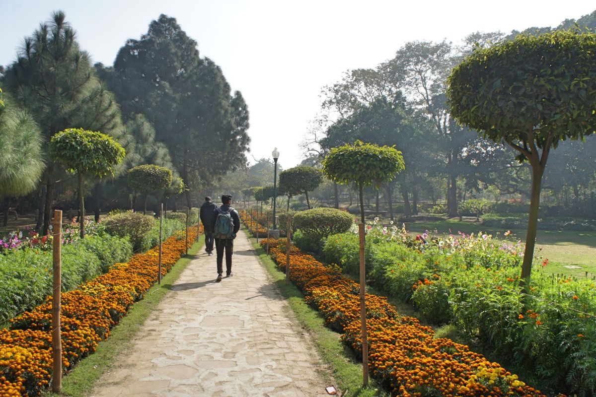 Парк Будда Джаянти (Buddha Jayanti Park)