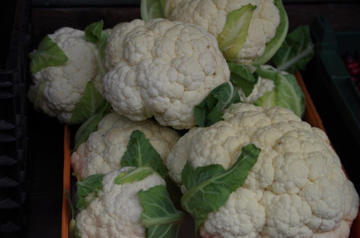 Центральный рынок Тарту