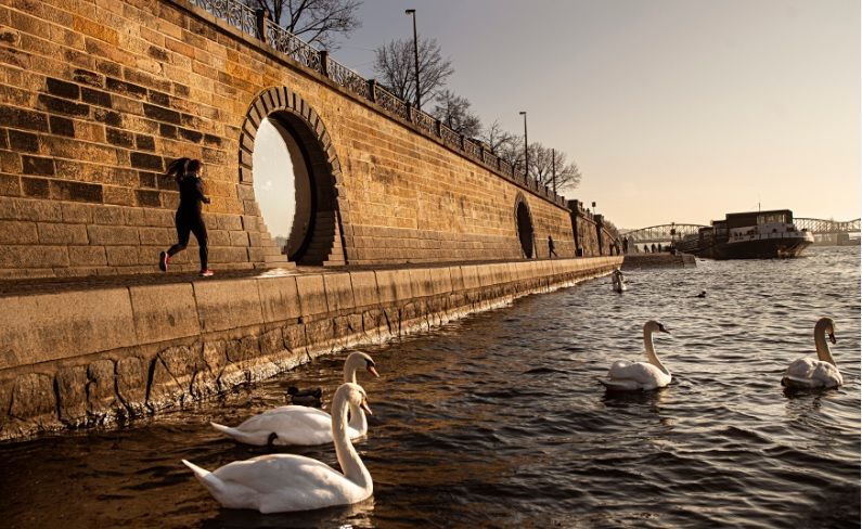 Náplavka – Набережная Рашина