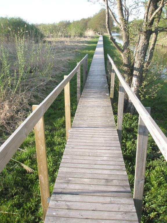 Смотровая вышка на лугу Пыдусте для наблюдения за природой и птицами