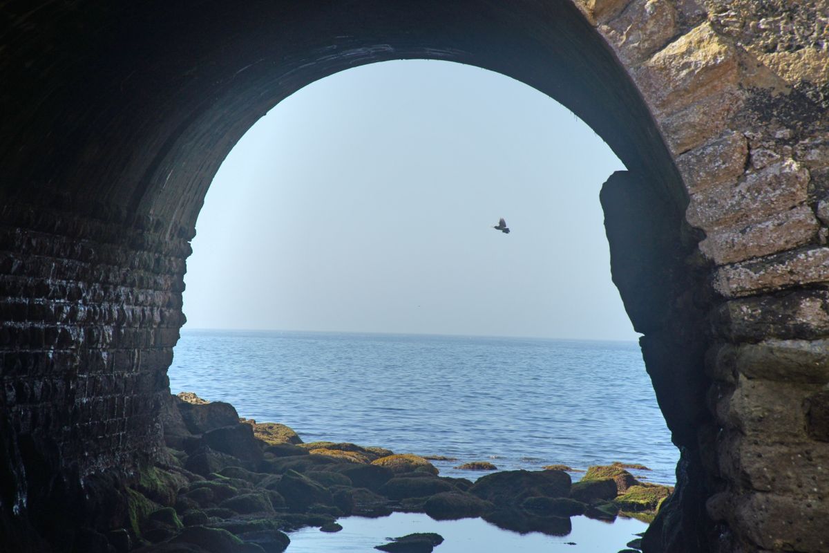 Национальный музей сопротивления и свободы