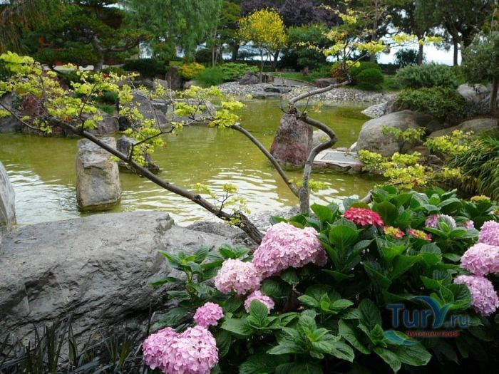 Королевский Японский сад