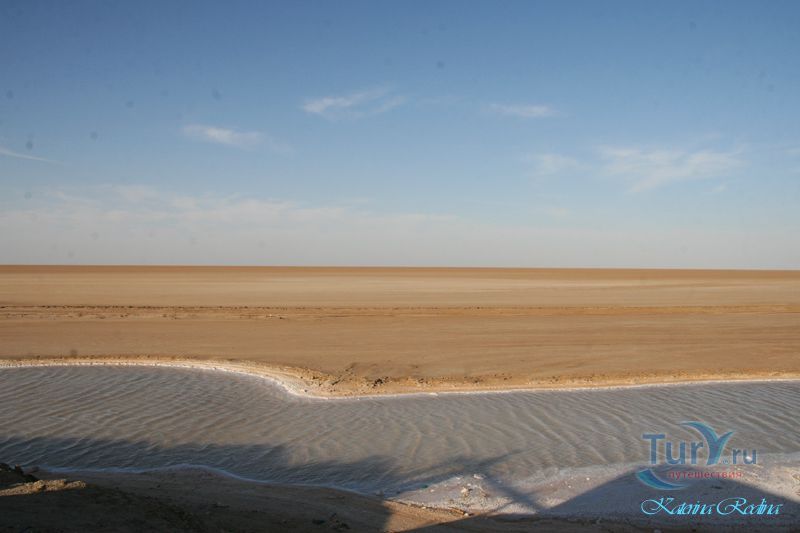 Шотт-эль-Джерид