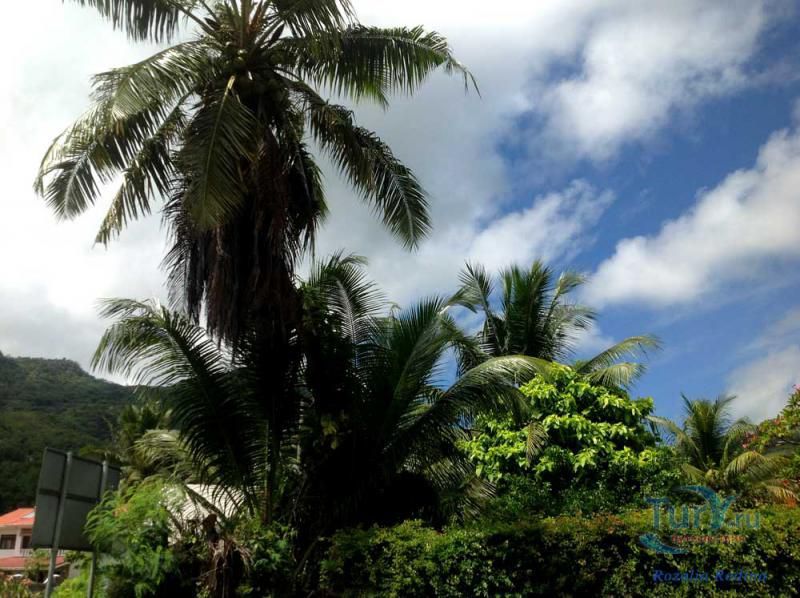 Пляж Анс-о-Пен и бухта Тартл