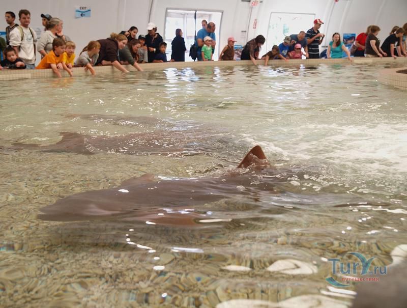 Торонтский зоопарк