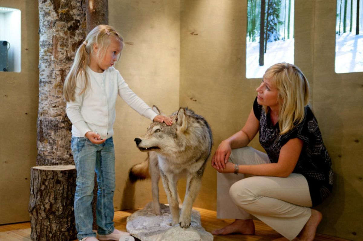 Лесной центр Сагади