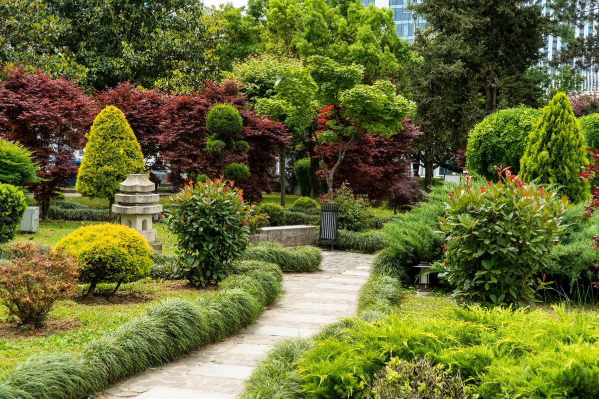 Японский сад в Батуми