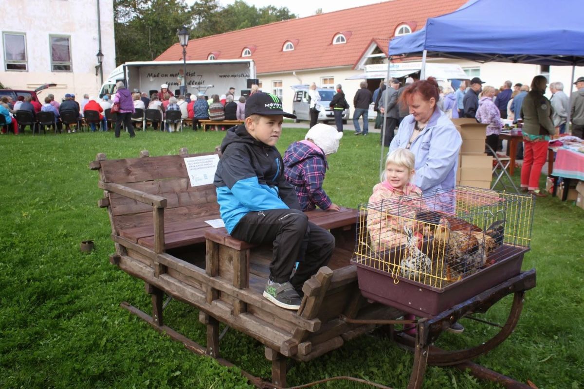 Усадьба Рогози в Руусмяэ
