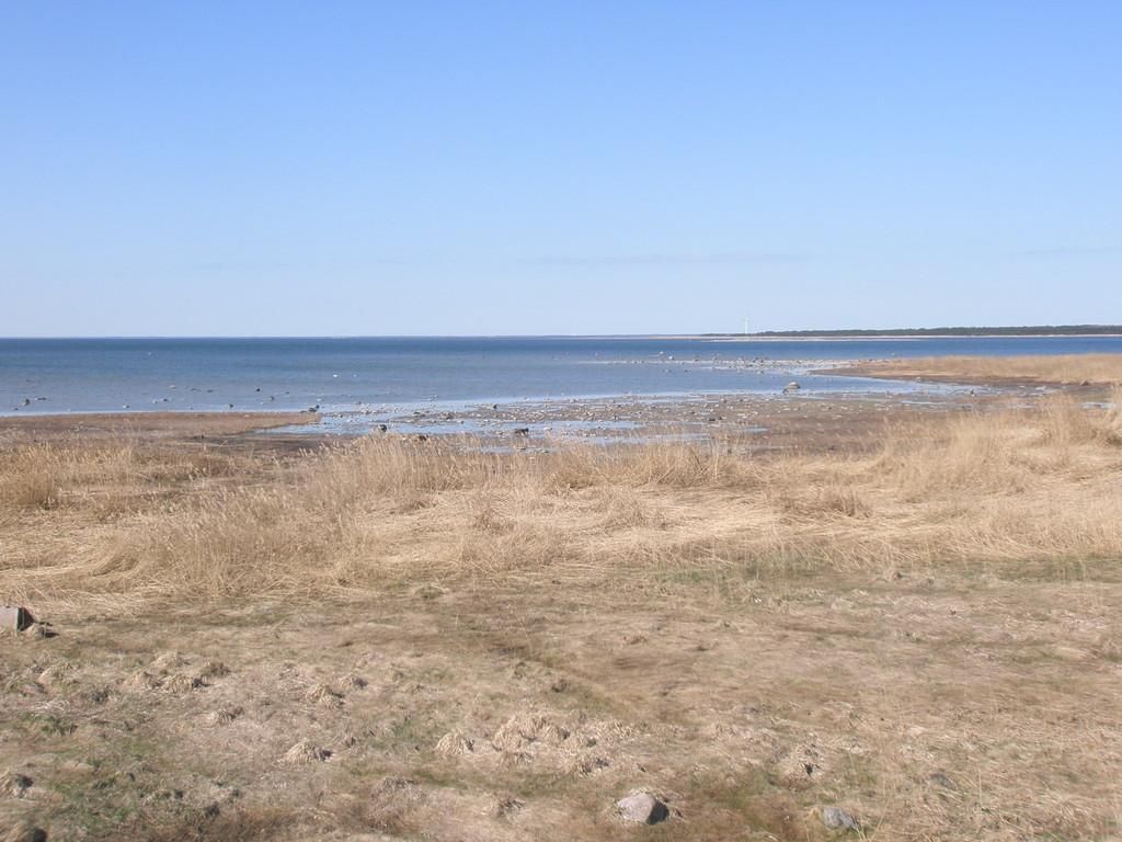 Смотровая вышка Роомассааре