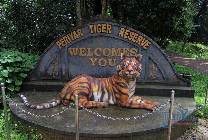 Национальный Парк Перияр (Тигриный Заповедник Перияр)