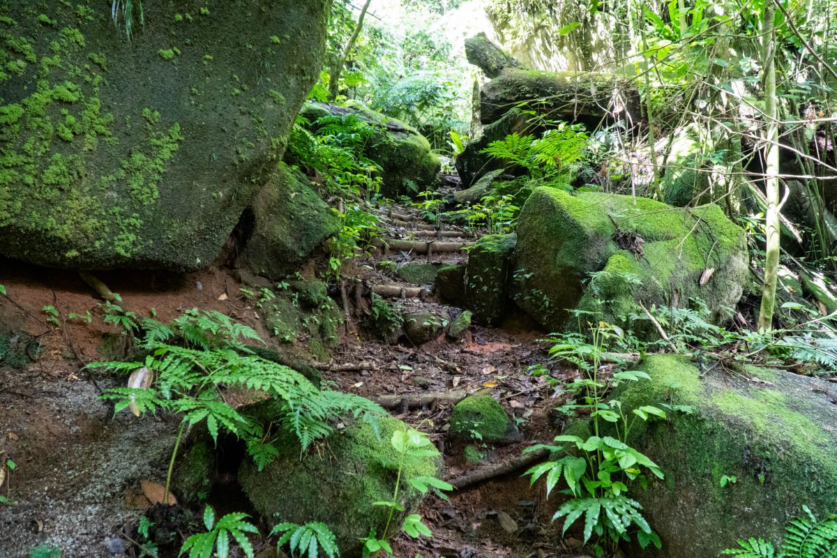 Салази Трейл