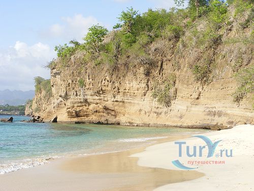 Мэгазин Бич