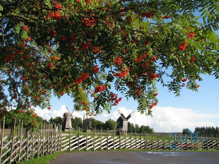 Холм с Ветряными Мельницами Англа