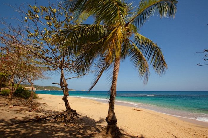 Пляж ЛАнс Торту (L'Anse Tortue Beach)