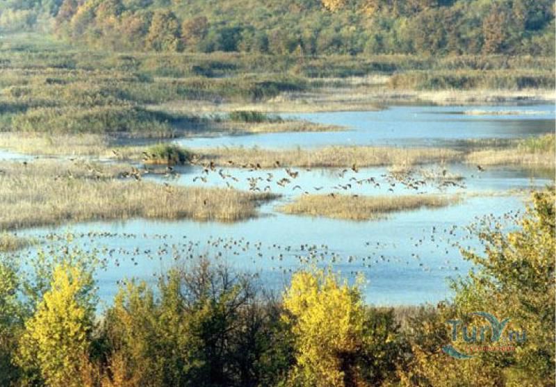 Природный заповедник Сребырна