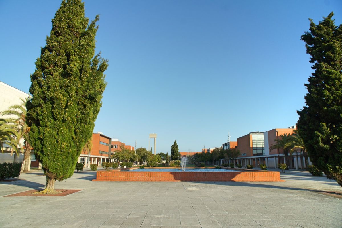 Университет Авейру