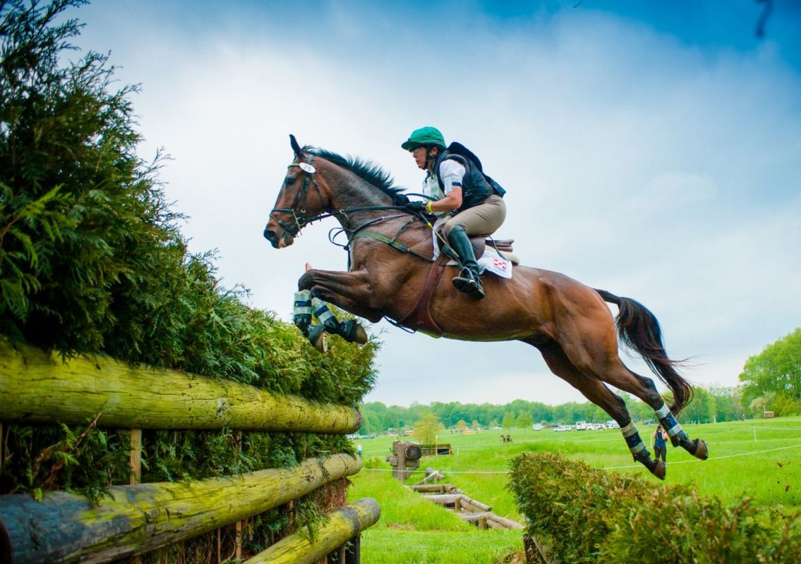 Могилевский центр олимпийского резерва по конному спорту и современному пятиборью