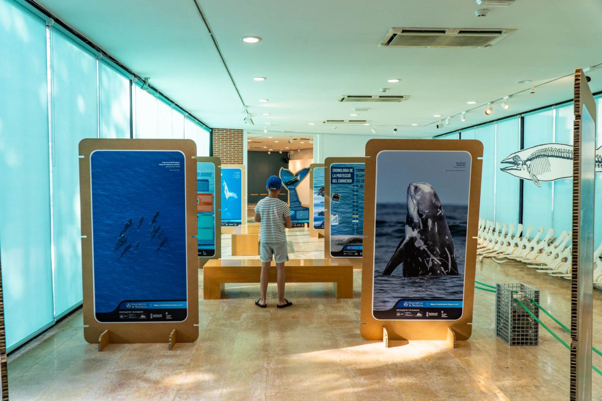 Музей естественных наук