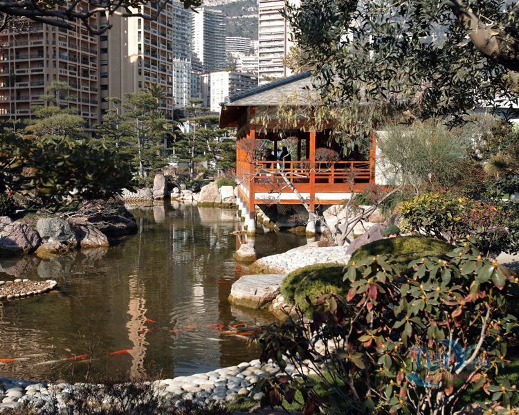 Королевский Японский сад