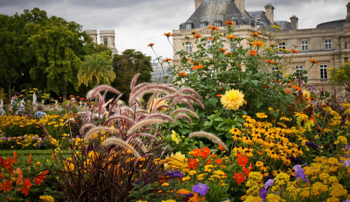 Люксембургский сад