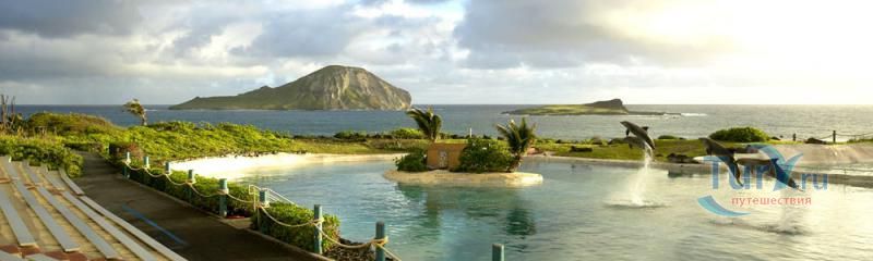 Парк Морской жизни Sea Life Park на о.Оаху