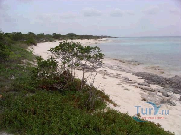 Малкомс Роад Бич