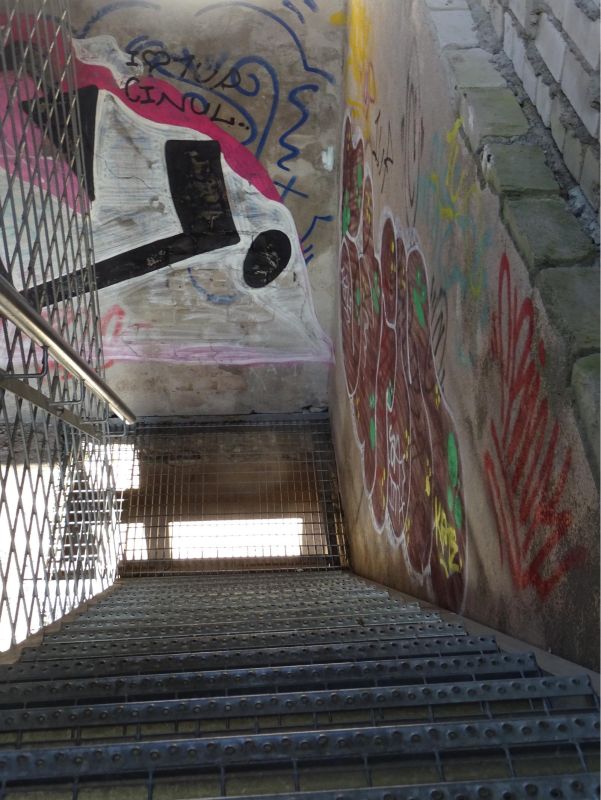 Смотровые вышки для наблюдения за птицами в Пальяссаареской заповедной зоне