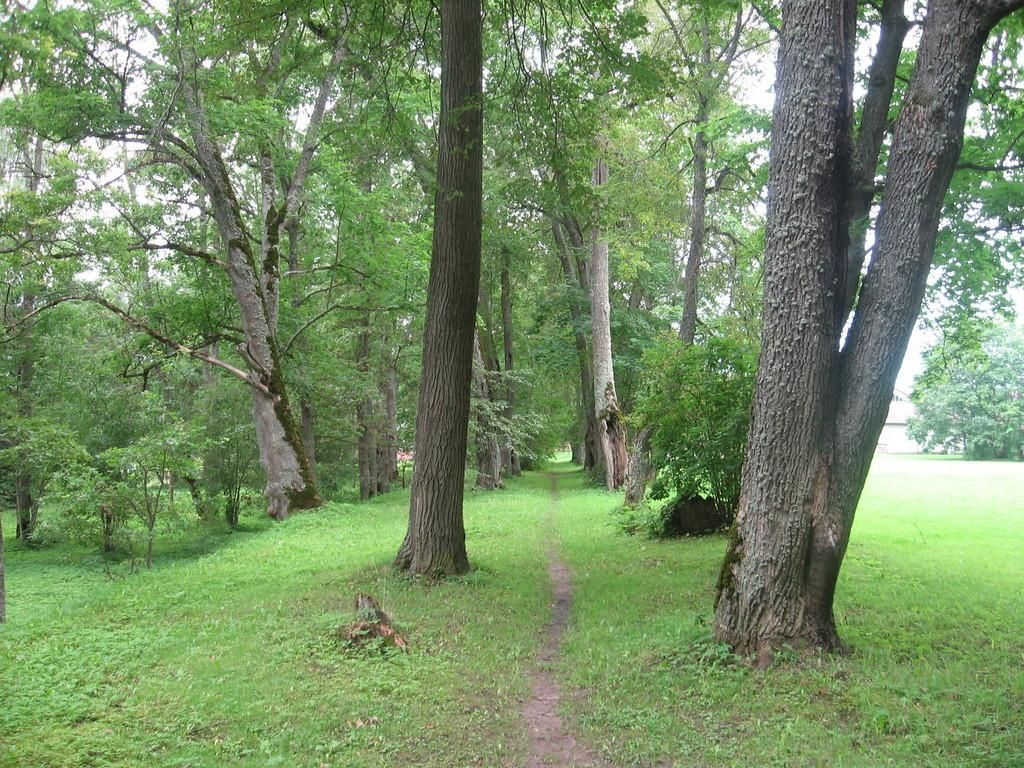 Парк поместья Луунья